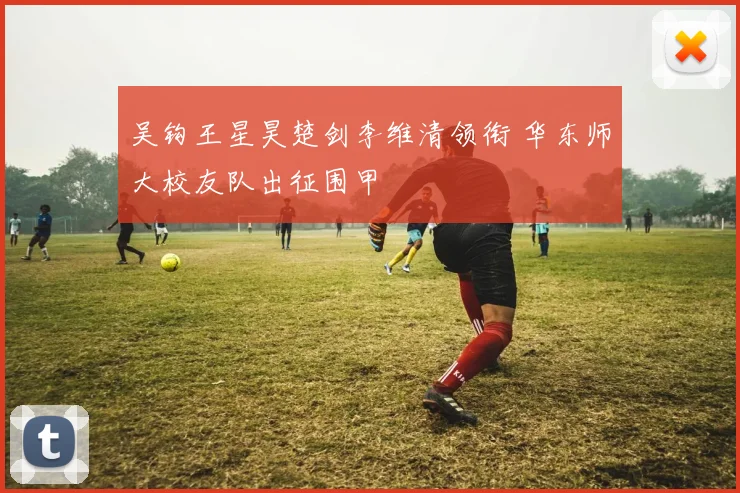 吴钩王星昊楚剑李维清领衔 华东师大校友队出征围甲