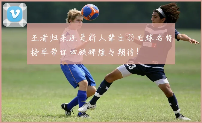 王者归来还是新人辈出羽毛球名将榜单带你回顾辉煌与期待!