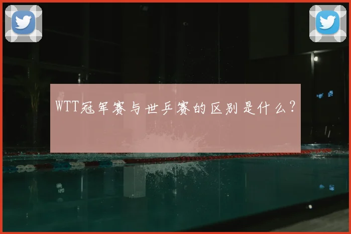 WTT冠军赛与世乒赛的区别是什么?