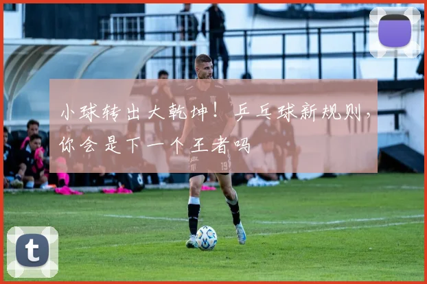 小球转出大乾坤!乒乓球新规则,你会是下一个王者吗
