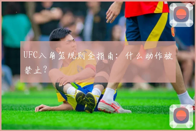 UFC八角笼规则全指南：什么动作被禁止？