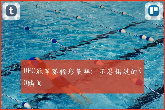 UFC冠军赛精彩集锦：不容错过的KO瞬间