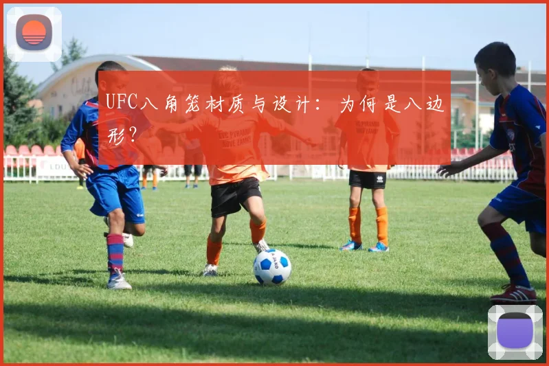 UFC八角笼材质与设计：为何是八边形？