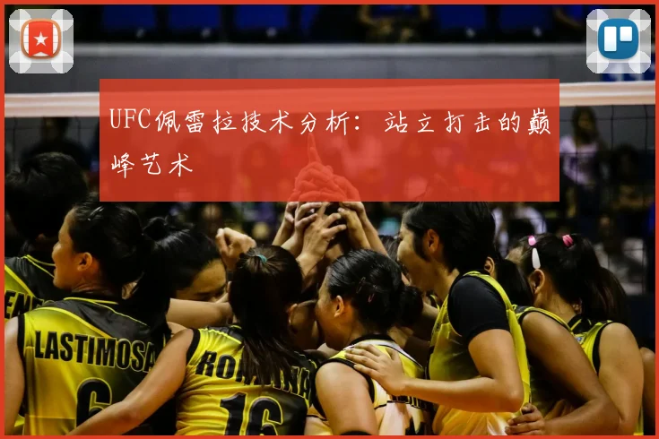UFC佩雷拉技术分析:站立打击的巅峰艺术