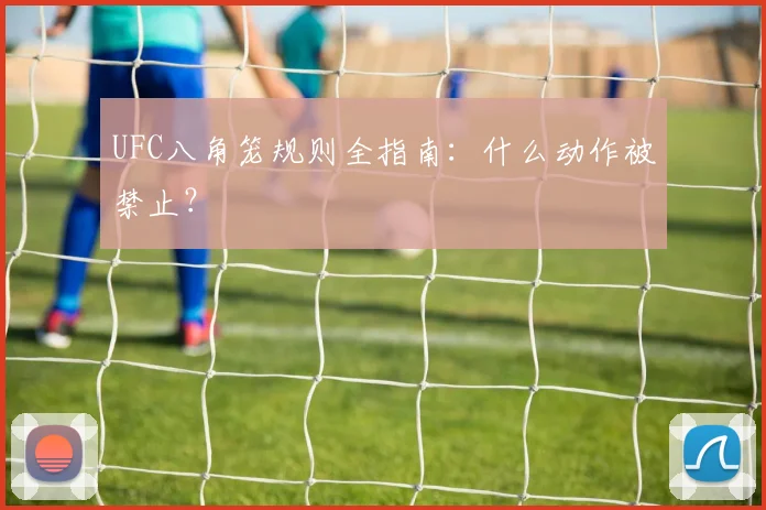 UFC八角笼规则全指南:什么动作被禁止?