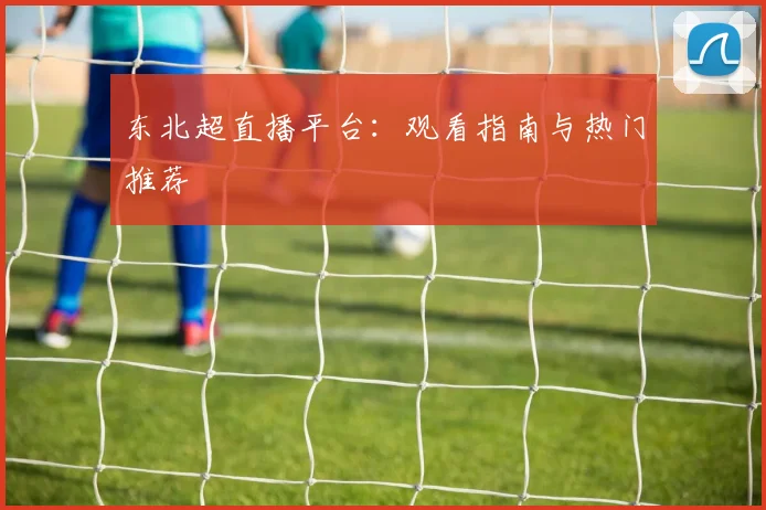 东北超直播平台:观看指南与热门推荐
