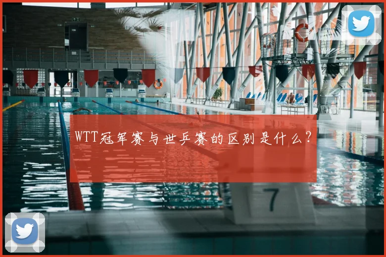 WTT冠军赛与世乒赛的区别是什么？