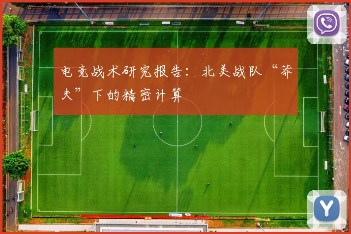 电竞战术研究报告：北美战队“莽夫”下的精密计算