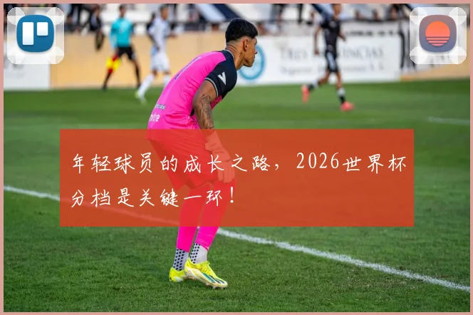 年轻球员的成长之路,2026世界杯分档是关键一环!