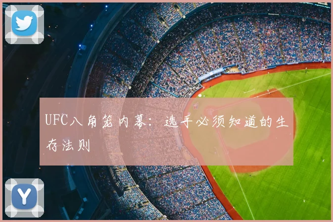 UFC八角笼内幕:选手必须知道的生存法则