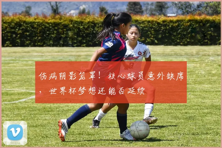 伤病阴影笼罩!核心球员意外缺席,世界杯梦想还能否延续
