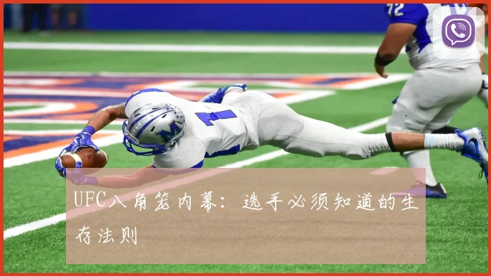 UFC八角笼内幕：选手必须知道的生存法则