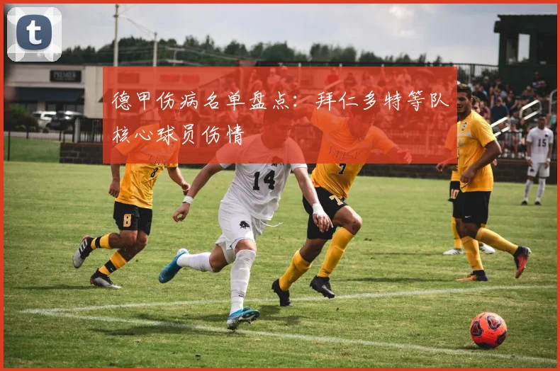德甲伤病名单盘点：拜仁多特等队核心球员伤情