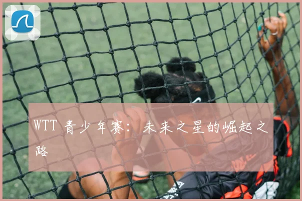 WTT 青少年赛：未来之星的崛起之路