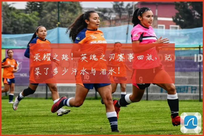 荣耀之路!英魂之刃赛事回放,记录了多少汗水与泪水!